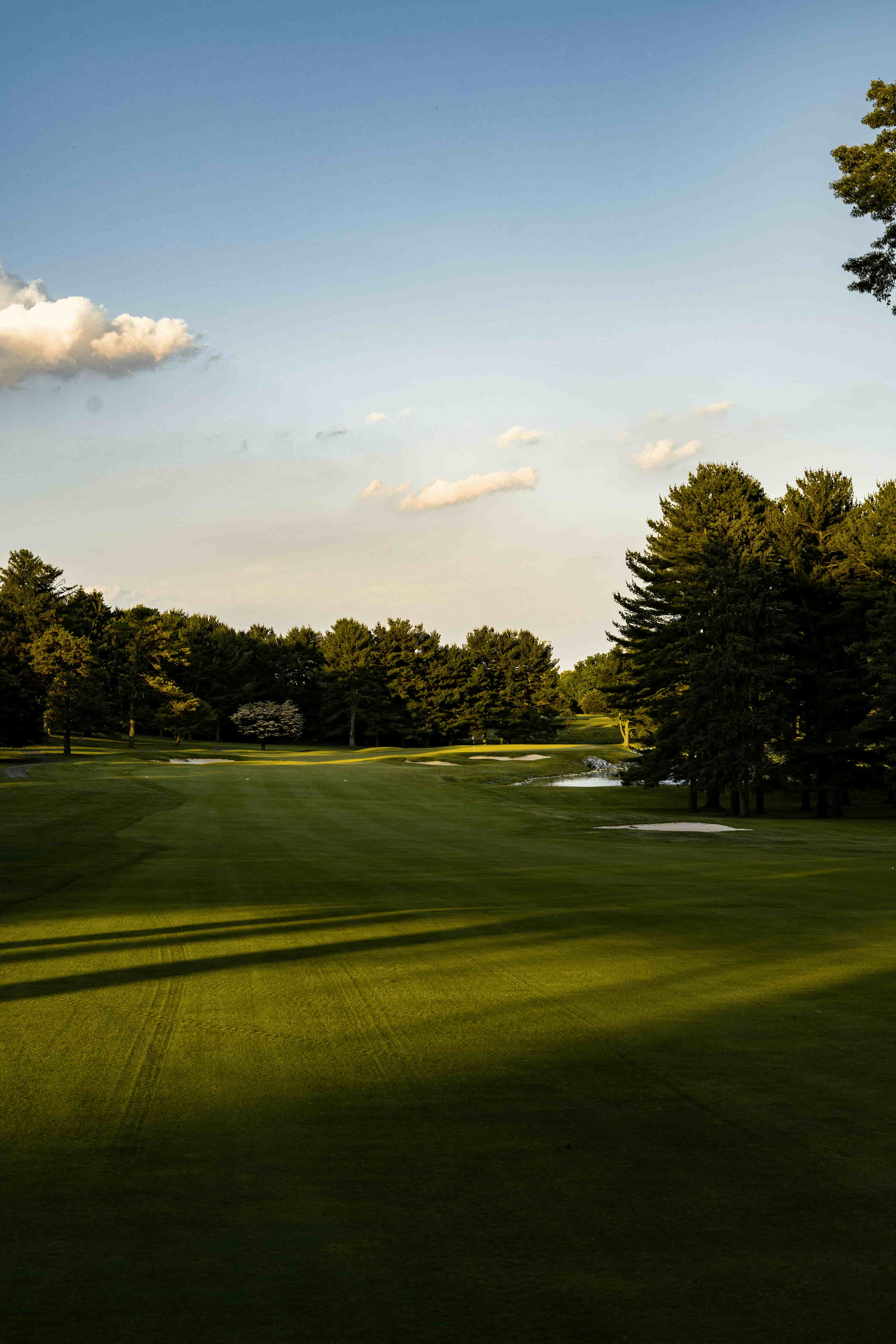 An empty golf fairway at sunset with trees